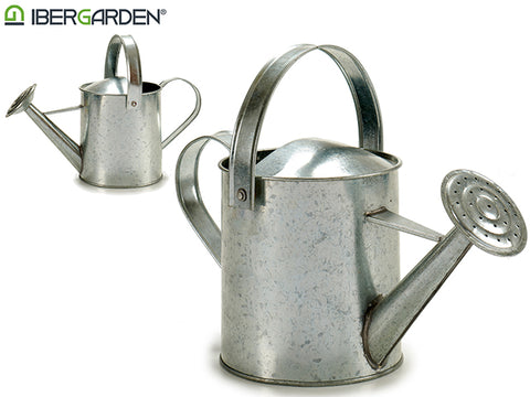 Regadera Zinc