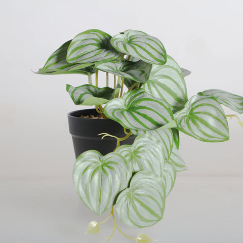 Planta Decorativa Hojas Verdes 22cm