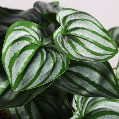 Planta Decorativa Hojas Verdes 22cm