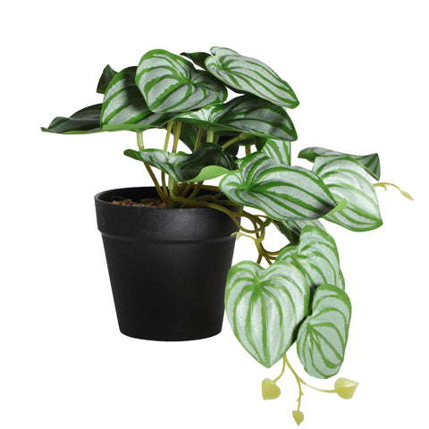 Planta Decorativa Hojas Verdes 22cm