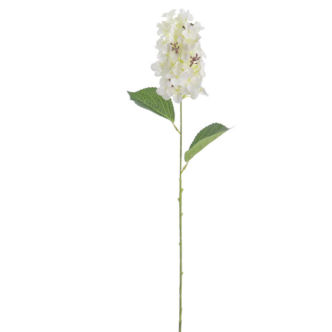 Hortensia Crema