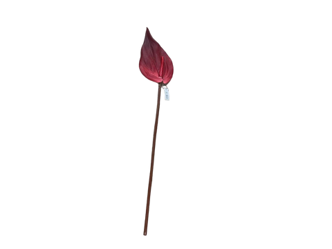 Branche d'Antihurium Rouge 69cm