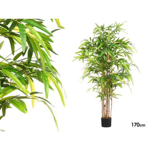 Maceta Bambú 170cm