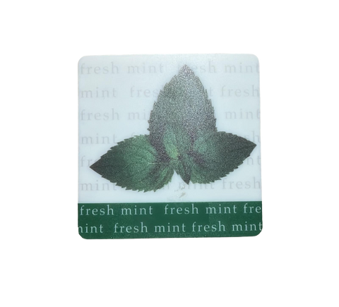Ensemble de 12 sous-verres en plastique parfumés à la menthe fraîche